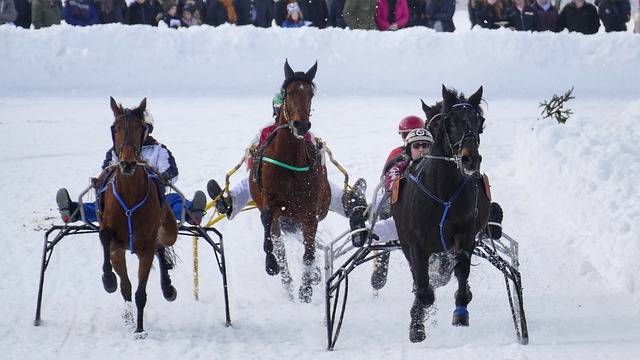 卡洛尼的话 卡洛尼的话