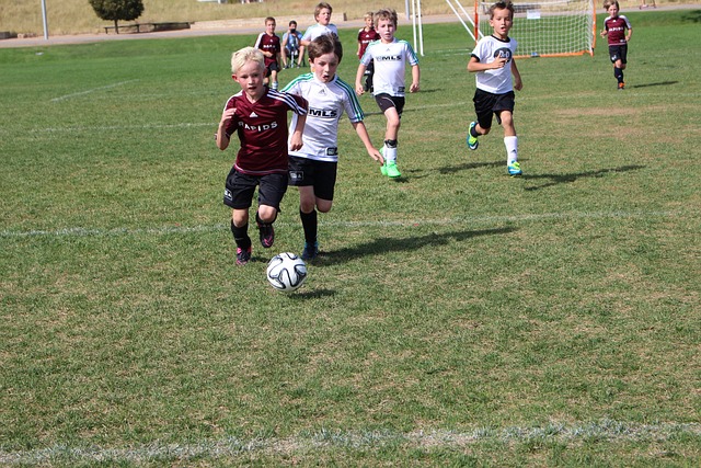 了队伍整体 了队伍整体