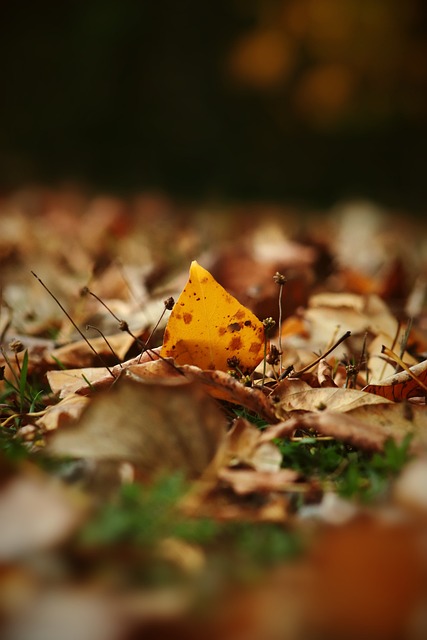 这座现代化 这座现代化