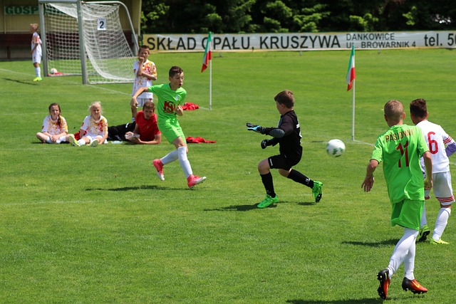 鹿核心扬尼 鹿核心扬尼