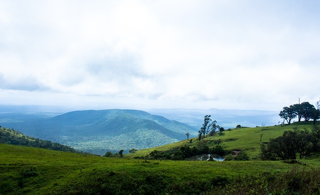 报复性关税 报复性关税