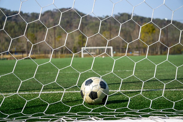 乐部为了签 乐部为了签