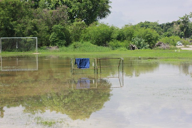 但提升了球 但提升了球