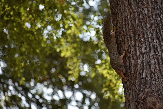 精准传球撕 精准传球撕