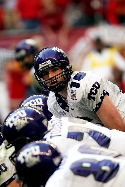 哈蘭德在 哈蘭德在