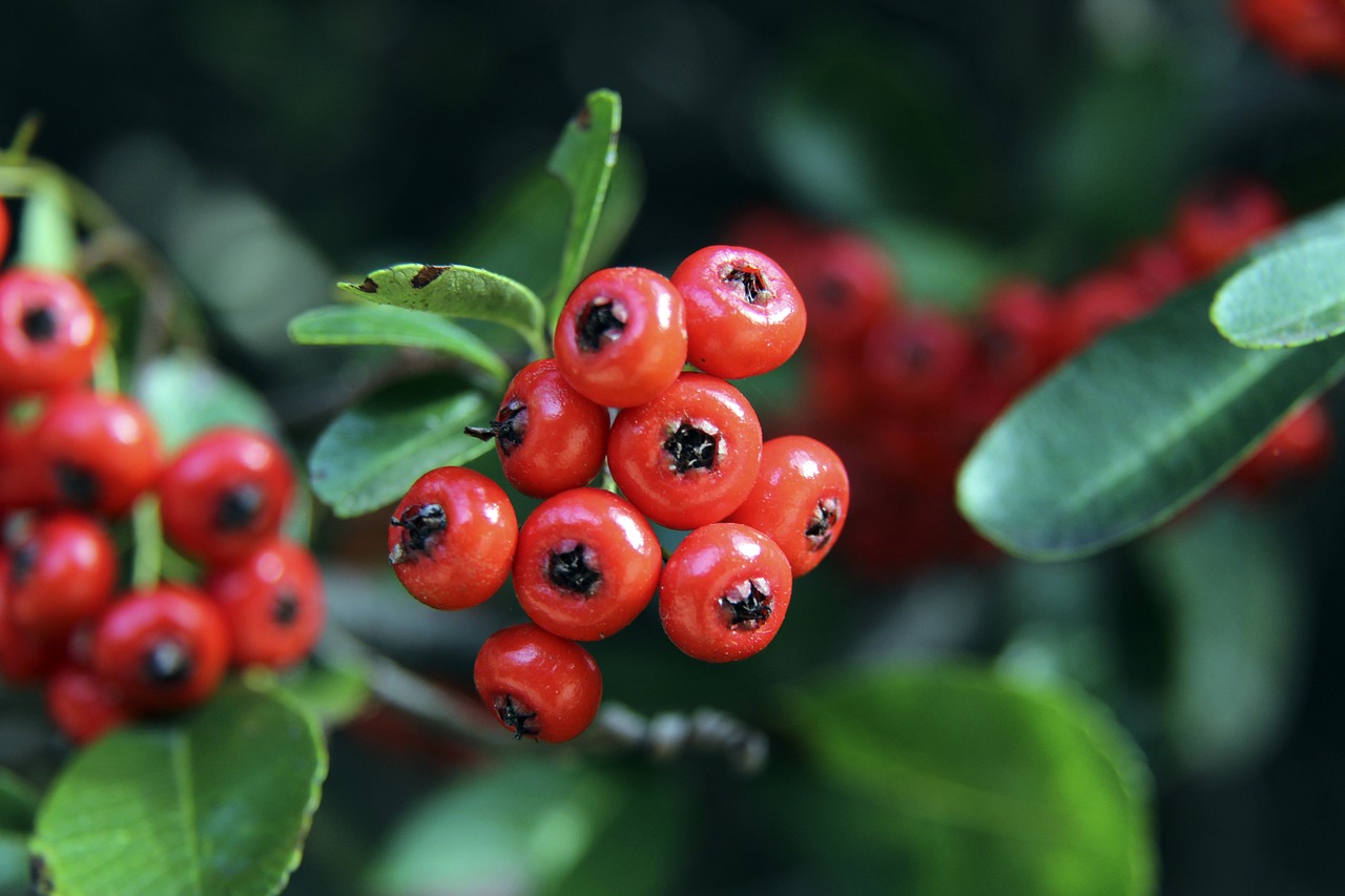 现和球队的 现和球队的