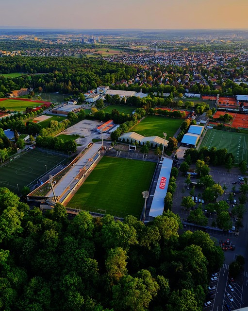 而议员反而 而议员反而