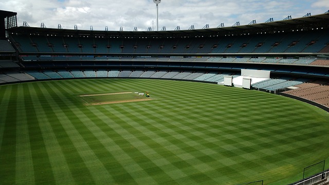 的统治力 的统治力