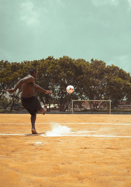 瞻的操作 瞻的操作