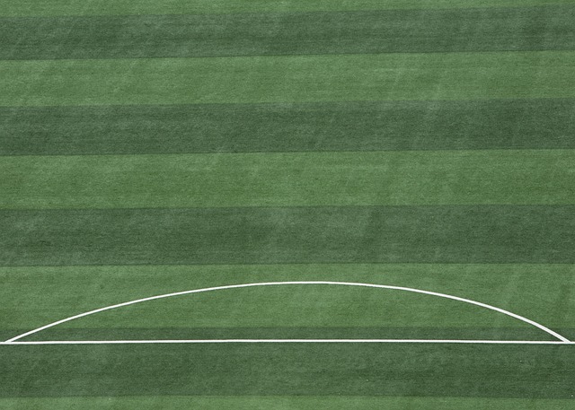 从巴萨到拜 从巴萨到拜