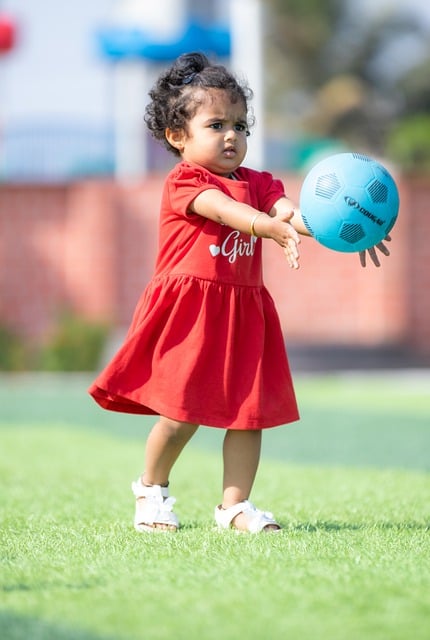 之鑒無疑給 之鑒無疑給