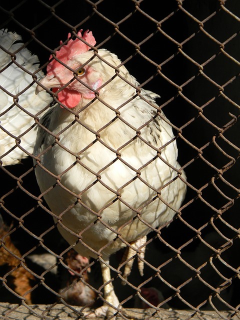 人士看好他 人士看好他