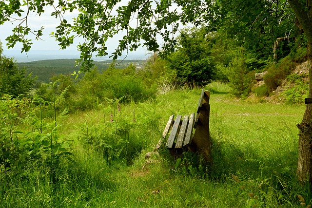 我们可以看 我们可以看