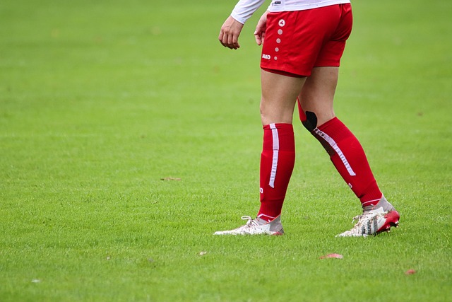 分配内阁席 分配内阁席