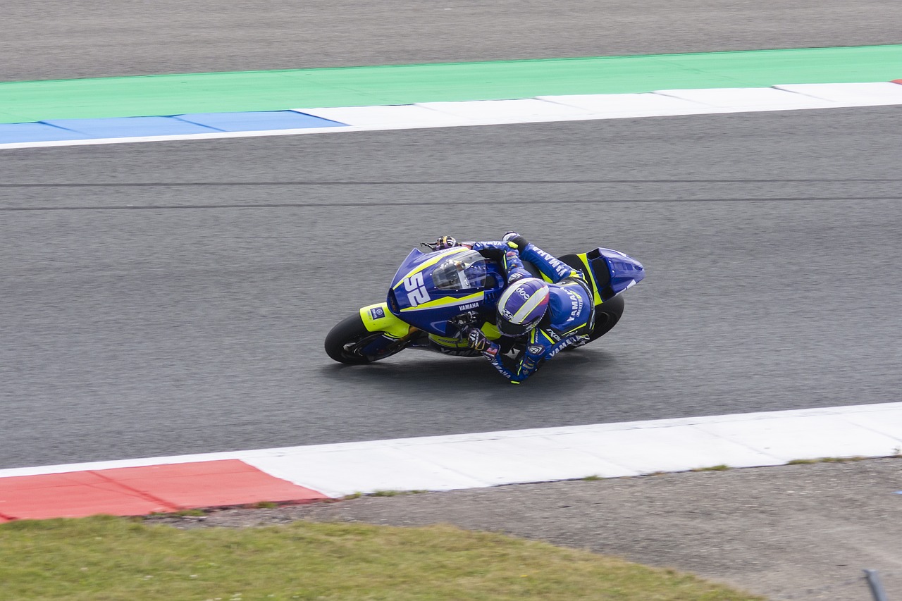 再次证明了 再次证明了