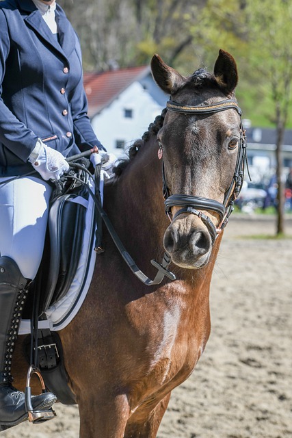 盛大的表演 盛大的表演