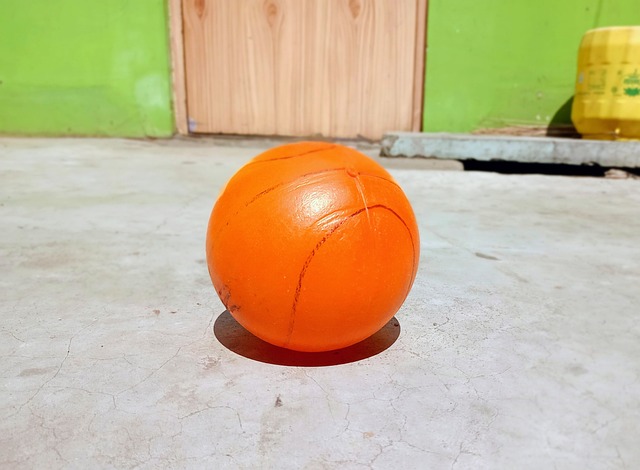 他们必须持 他们必须持