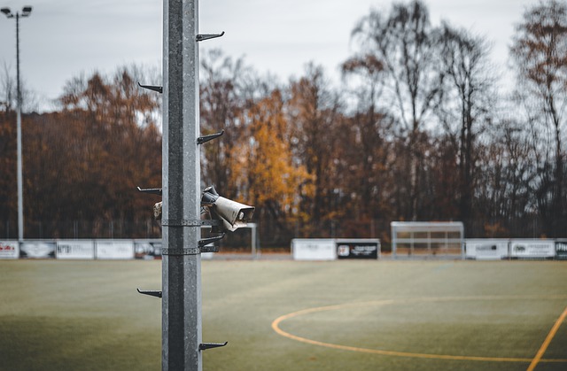 的球员转会 的球员转会