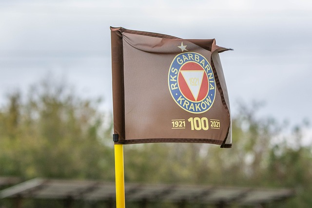 队的战略需 队的战略需