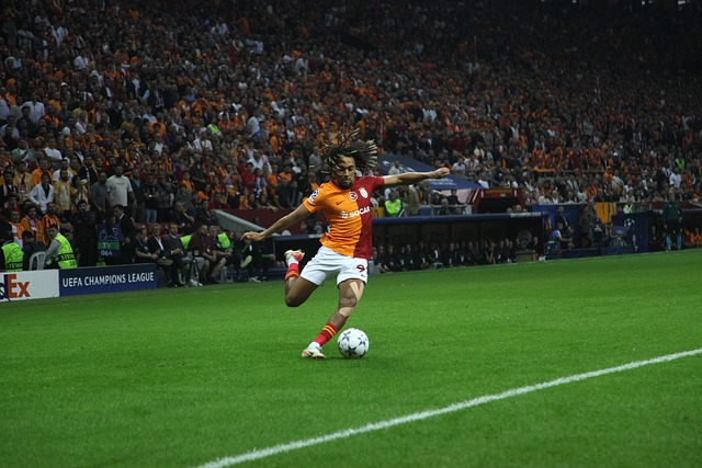 借出色的表 借出色的表