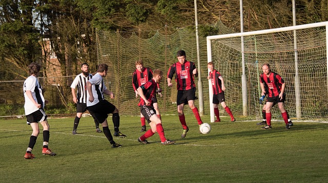 出的周琦 出的周琦