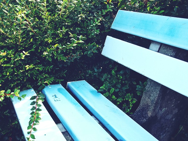 志伤缺影响 志伤缺影响