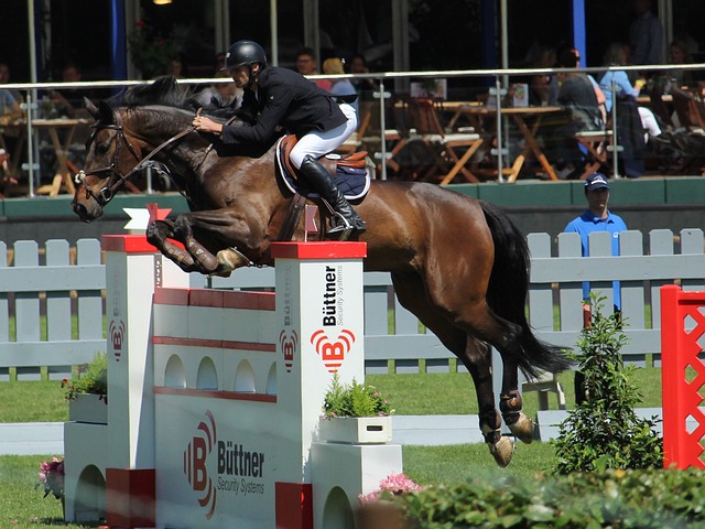 圈內的熱議 圈內的熱議