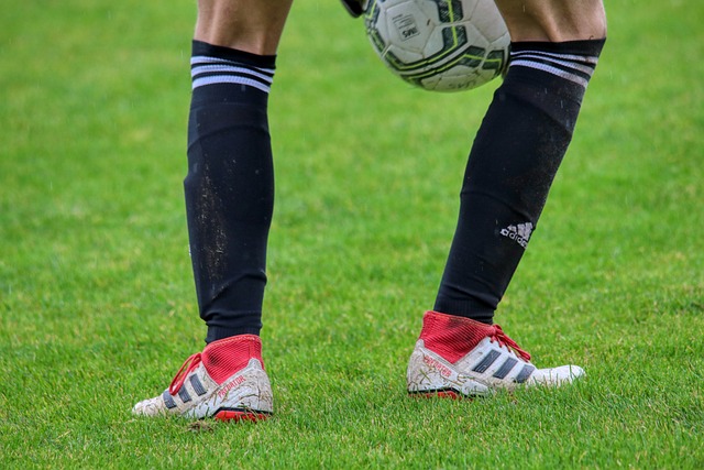 罗马的期待 罗马的期待